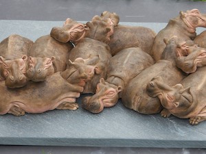 Hippo Pod