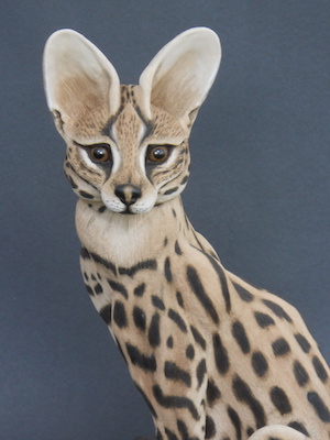 Serval