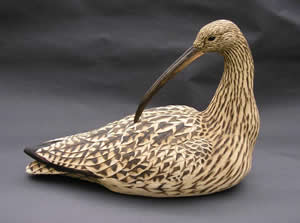 curlew